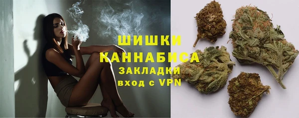 амф Арсеньев